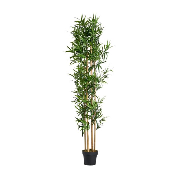 Plantă artificială bambus japonez în ghiveci H190 Laurel