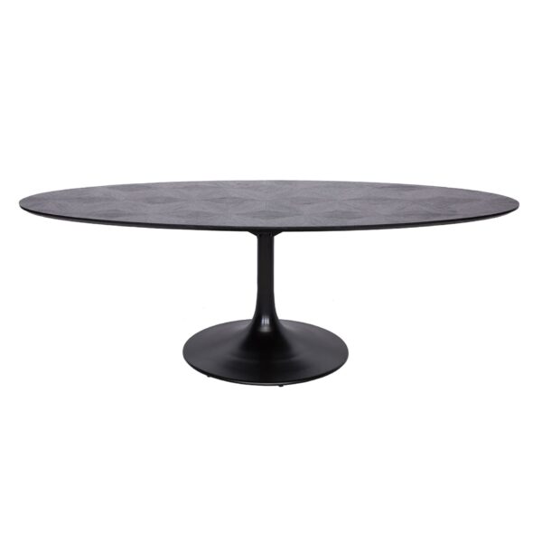 Masa dining ovala 230x100cm Blax