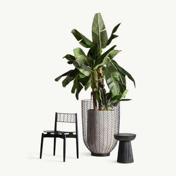 Set 2 scaune dining negru din lemn de mahon Plisse - imagine 7