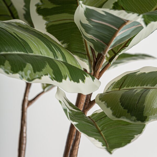 Planta artificiala verde in ghiveci h178 Roble - imagine 3
