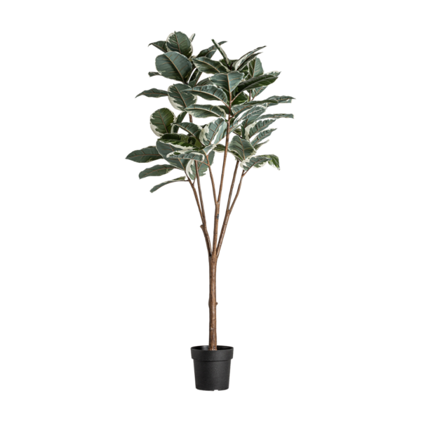 Planta artificiala verde in ghiveci h178 Roble