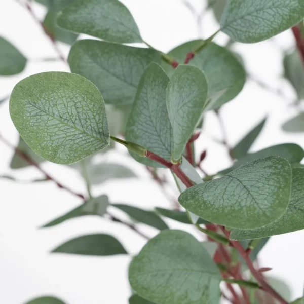 Planta artificiala verde in ghiveci h 180 Eucalyptus - imagine 3