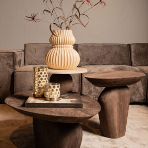 Masa de cafea maro din lemn de mango Harshad